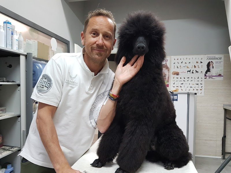 Amici Felici - Foto 2