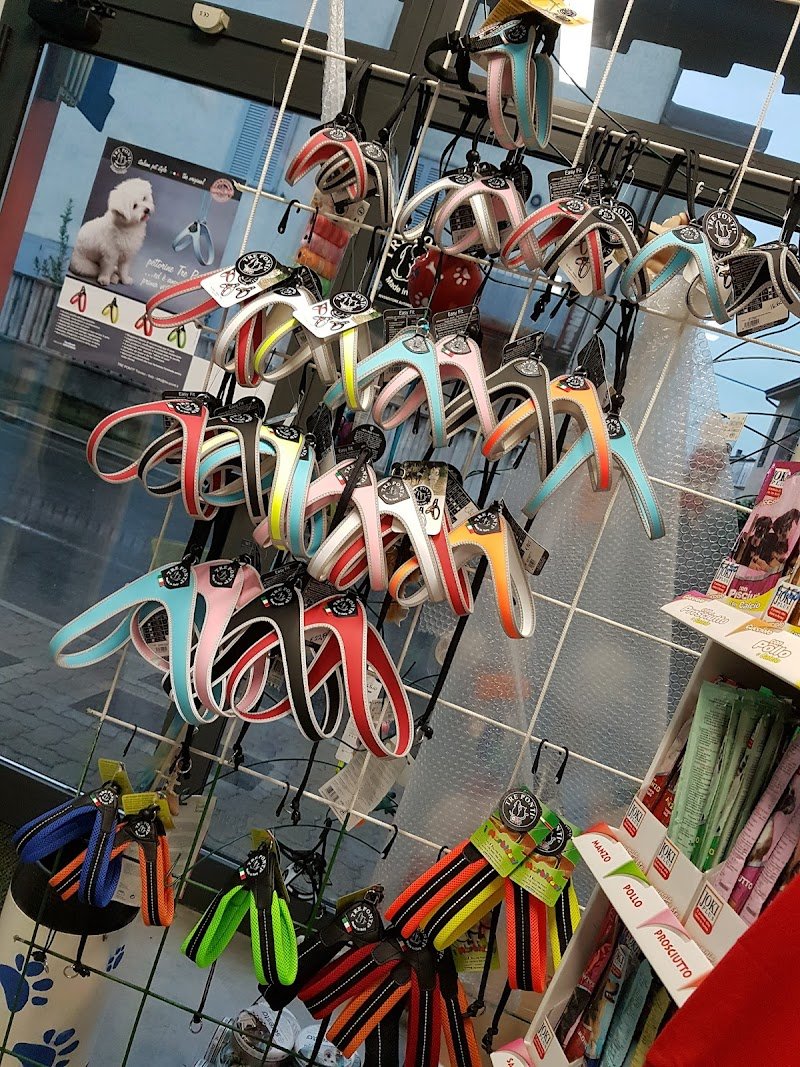 Amici Felici - Foto 3