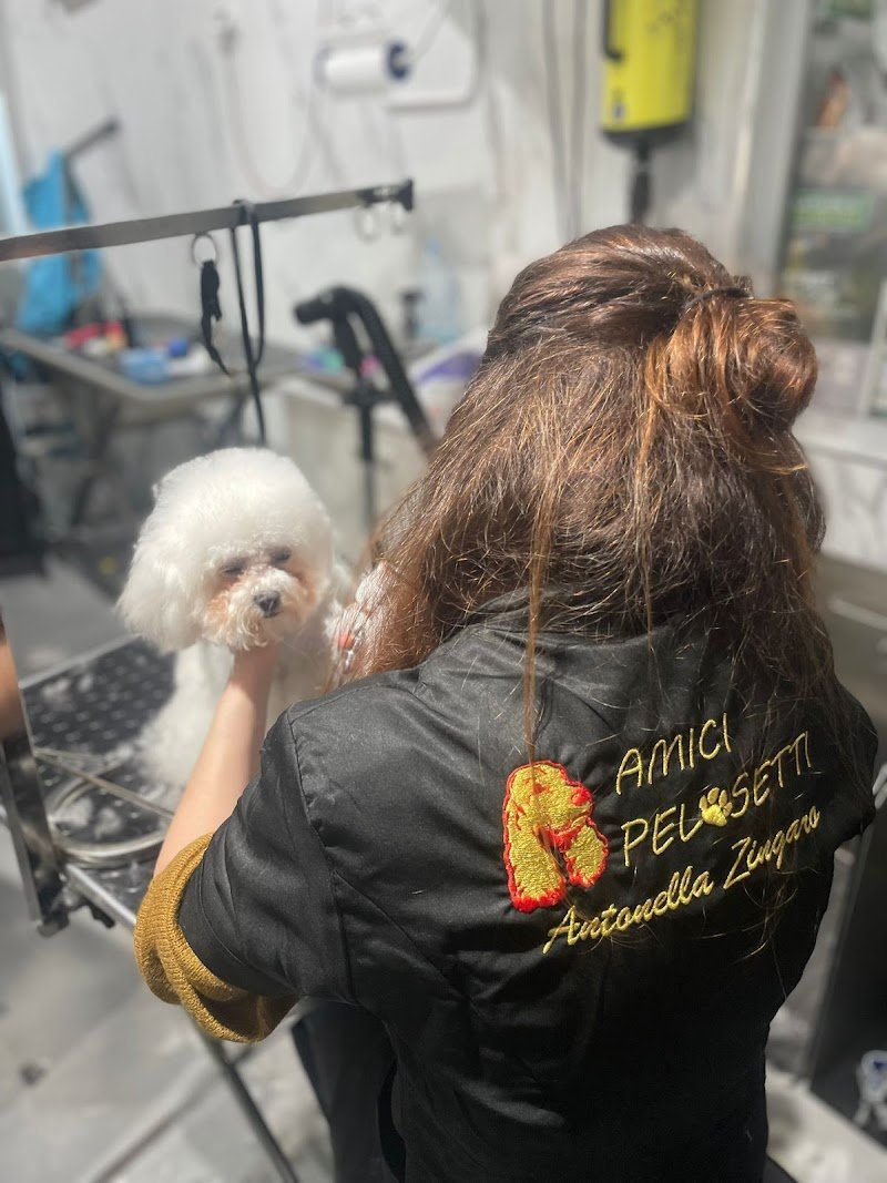 Amici Pelosetti - Foto 1