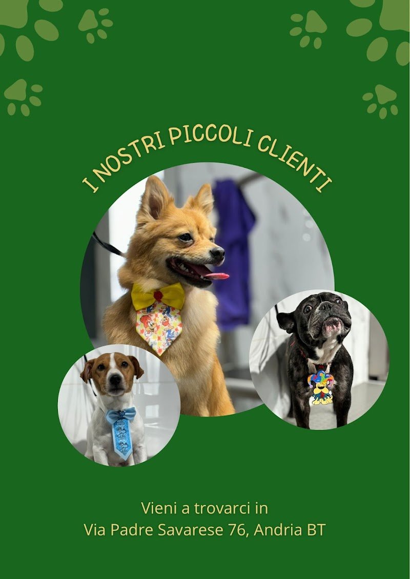 Amici Pelosetti - Foto 2