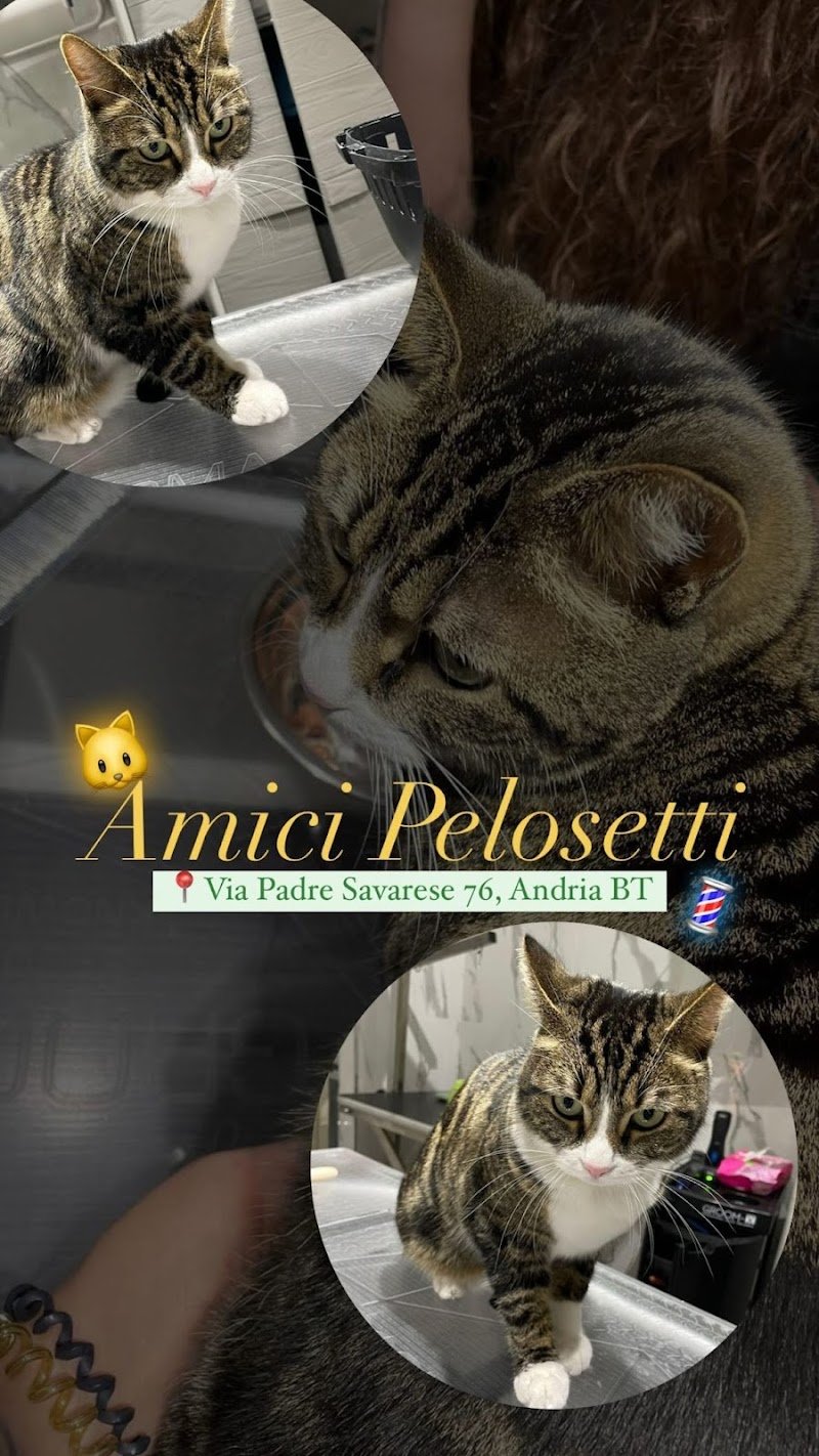 Amici Pelosetti - Foto 3