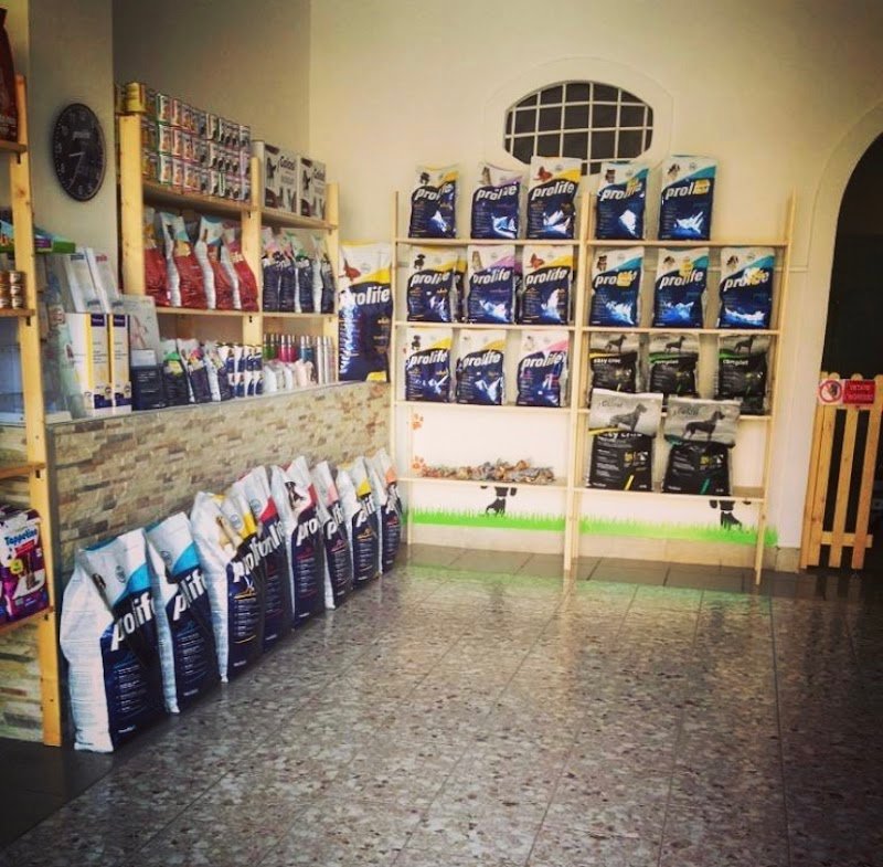 Amici Pelosi di Angelo Chiusolo - Foto 1