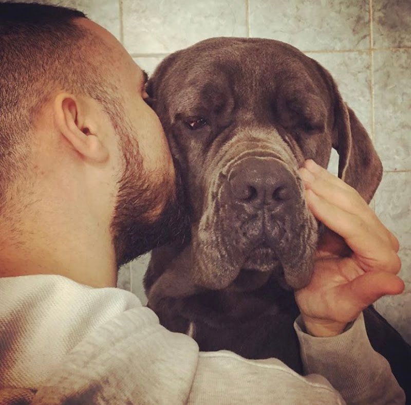 Amici Pelosi di Angelo Chiusolo - Foto 5