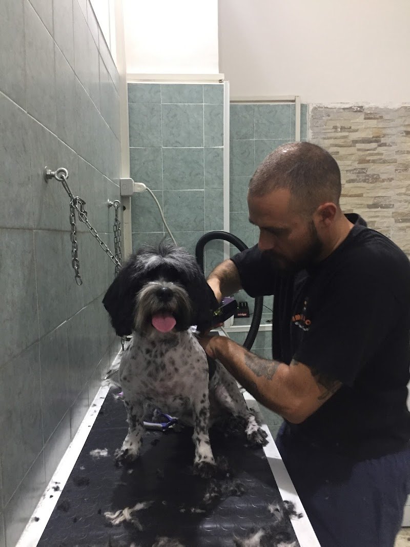 Amici Pelosi di Angelo Chiusolo - Foto 6