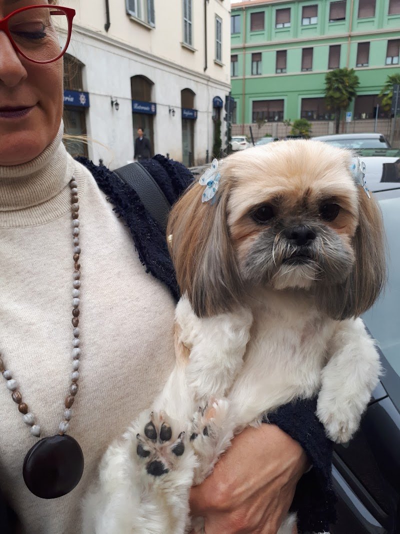 Amici Pelosi Di Greco Cinzia - Foto 2