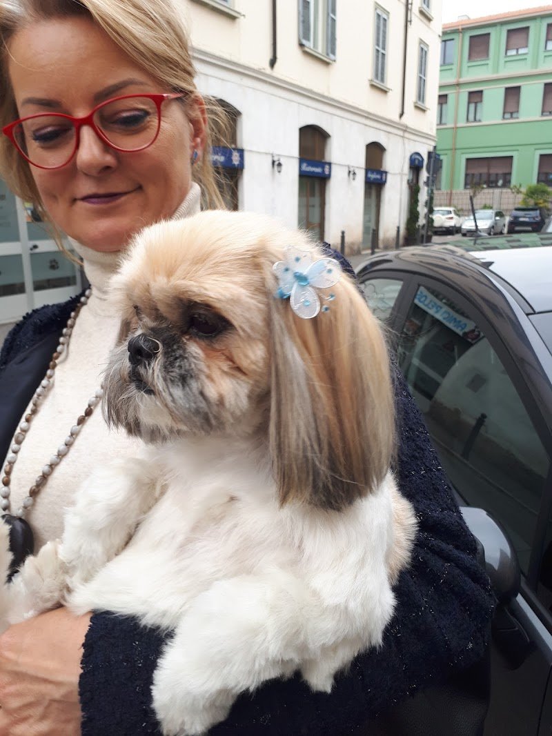 Amici Pelosi Di Greco Cinzia - Foto 3