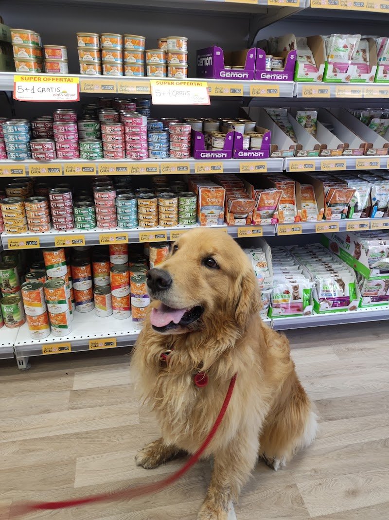 Amici Per La Coda - Foto 2