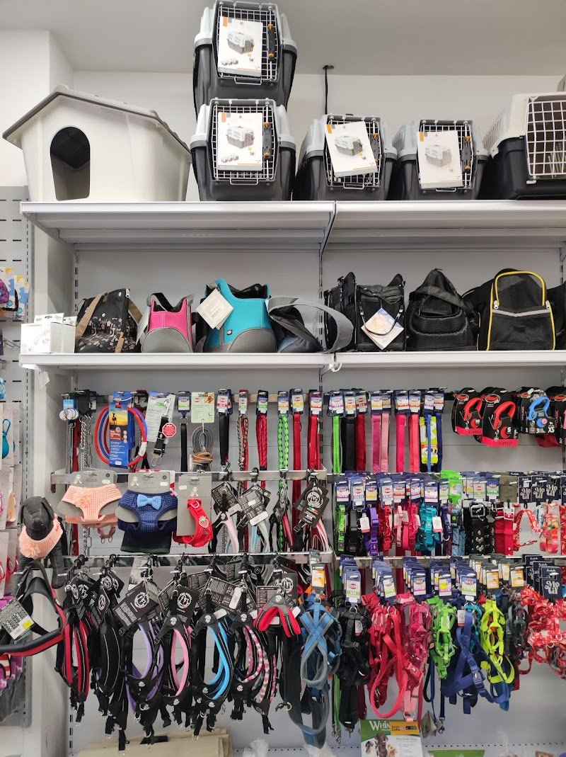 Amici Per La Coda - Foto 4