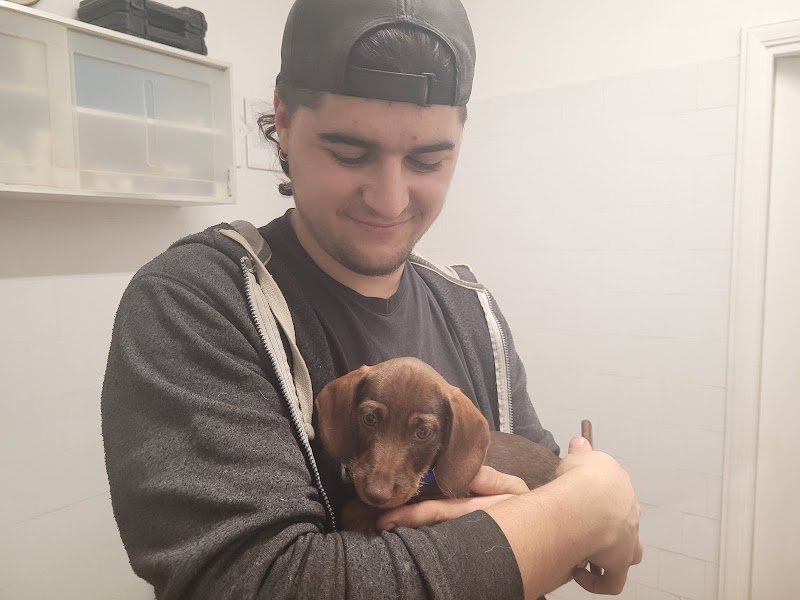 Amici per la coda - Pet Shop Bolsena - Foto 5