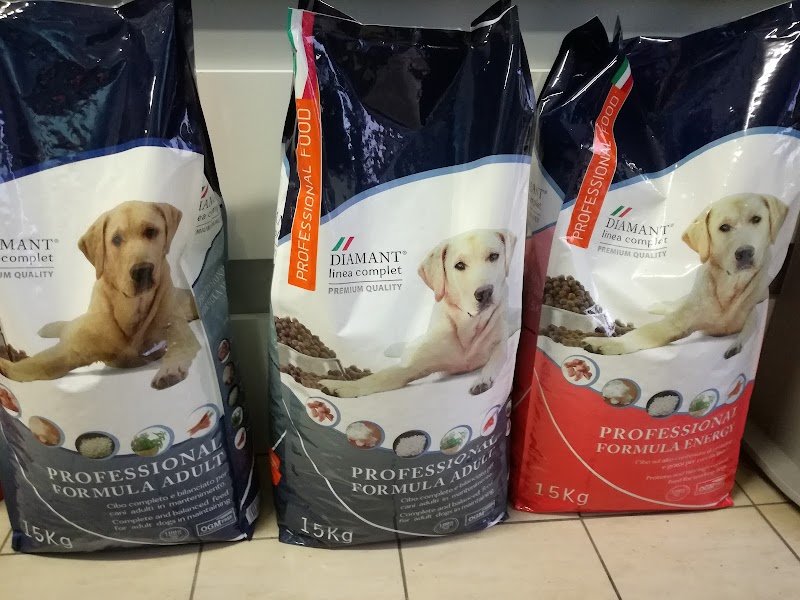 Amici Per La Zampa Di Lovalente Antonella - Foto 5