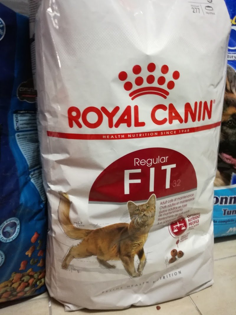 Amici Per La Zampa Di Lovalente Antonella - Foto 6