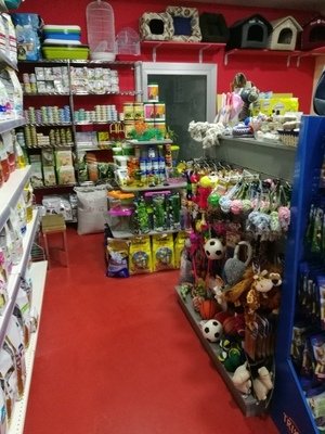 Amici per La Zampa Pozzuoli - Foto 2