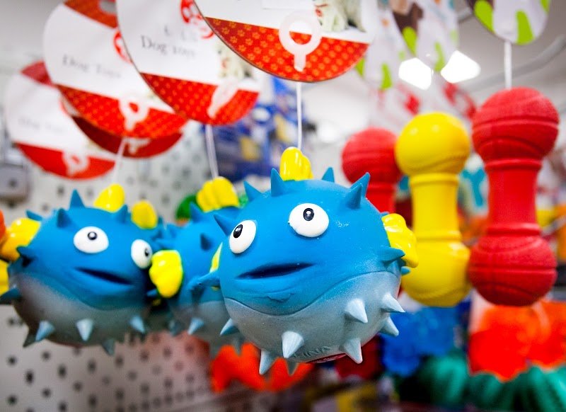 Amici Pet&Co. - Jump&Ride STORE - La Parafarmacia - Foto 2