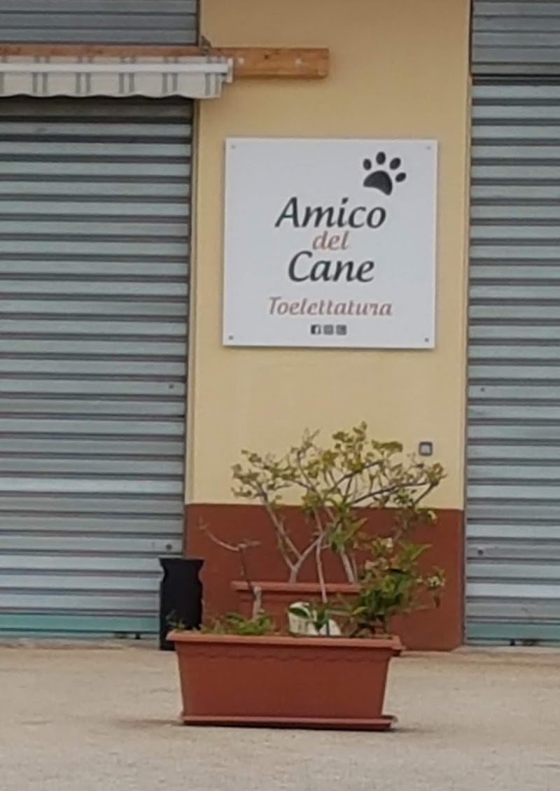 Amico Del Cane - Foto 1