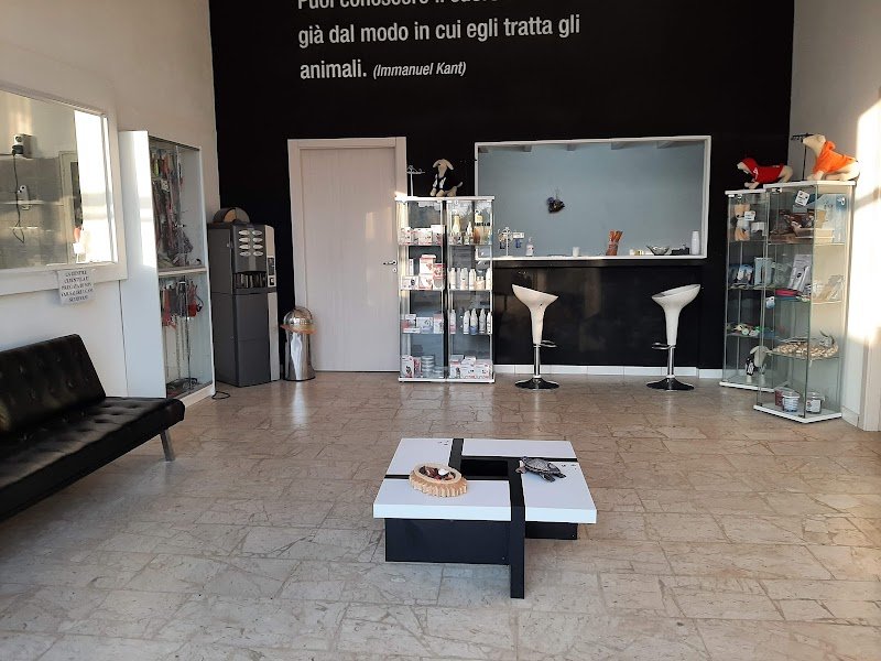 Amico Del Cane - Foto 2