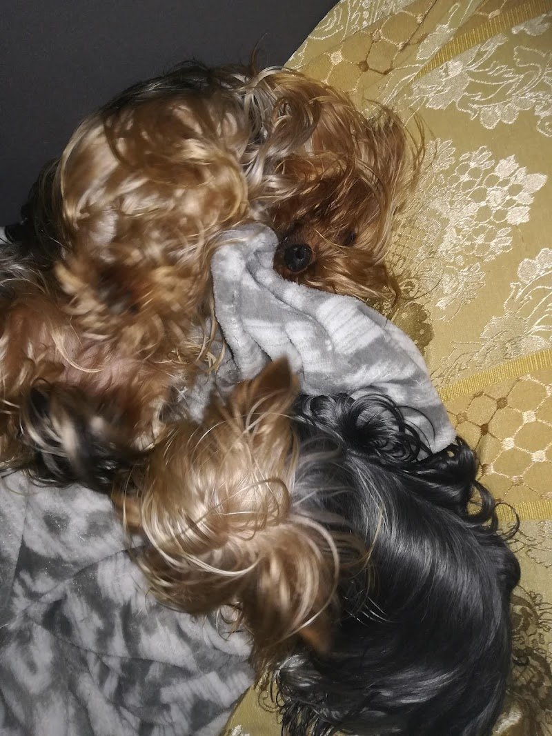 Amicuccioli - Foto 3