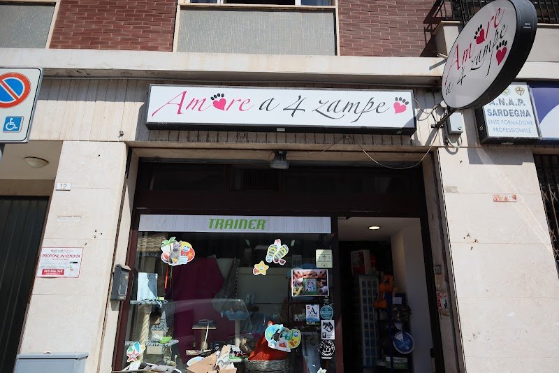 Amore a 4 Zampe - Foto 1