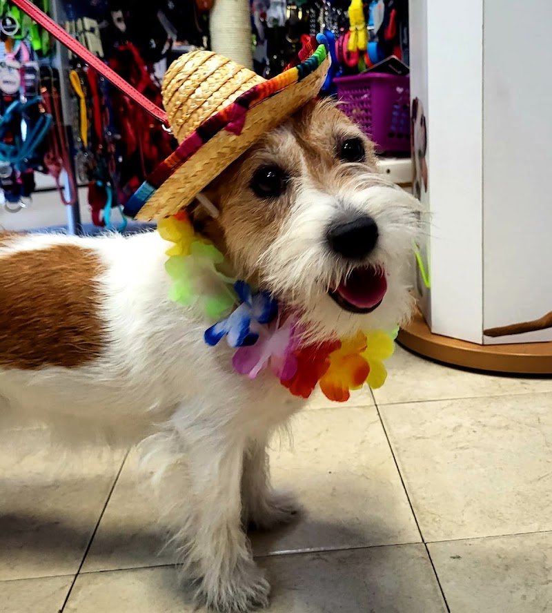 Amore a 4 Zampe - Foto 5