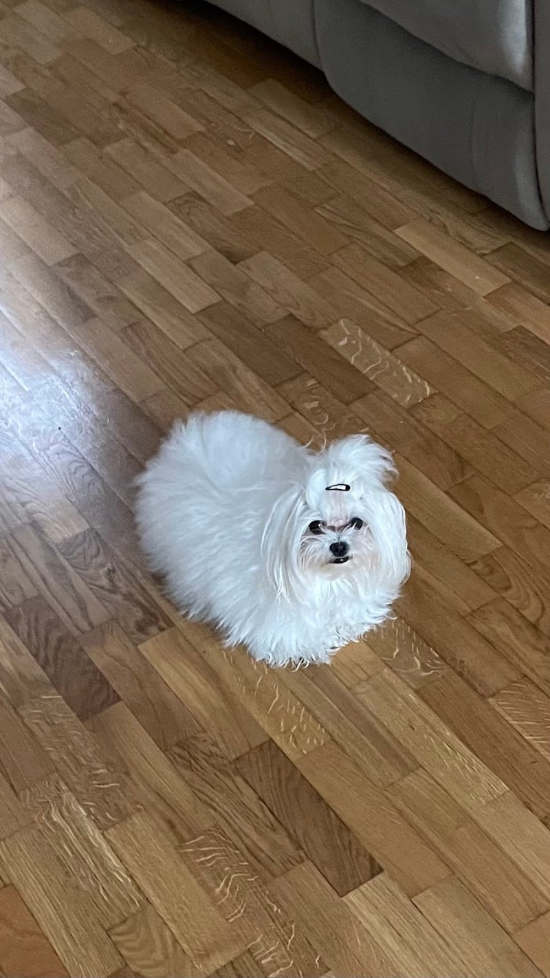 Amore Puro Latina Toeletta - Foto 2