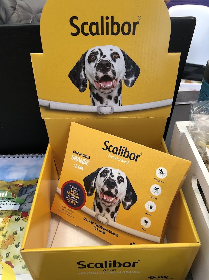 Amore Puro Toeletta - Foto 2