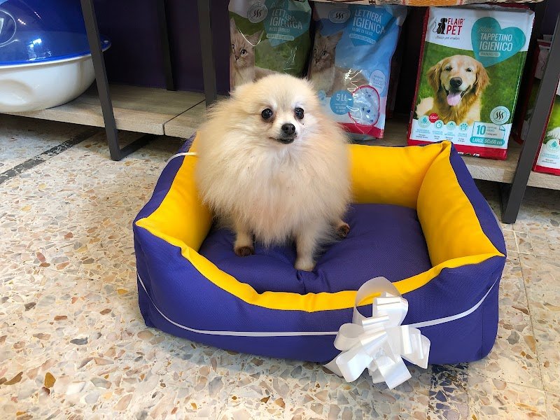 Amore Puro Toeletta - Foto 4