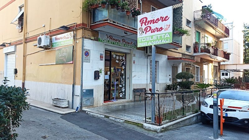 Amore Puro Toeletta - Foto 6