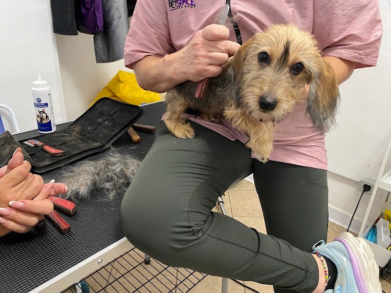 Amore Vero Toelettatura - Foto 1