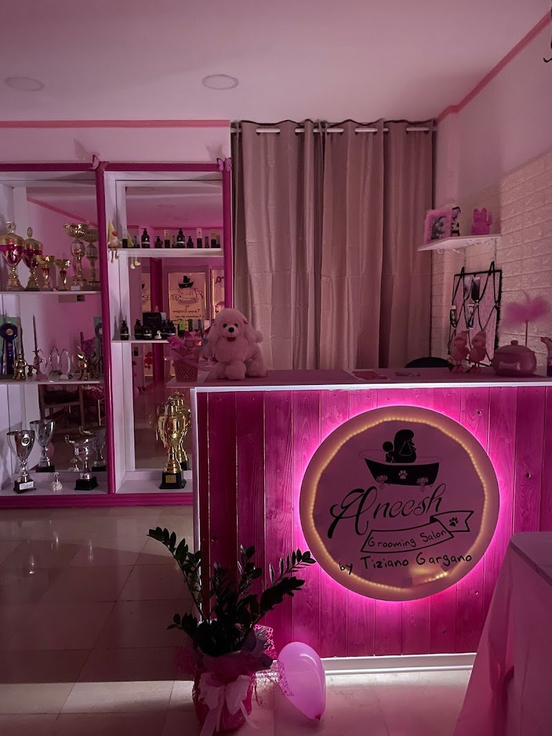 Aneesh Grooming Salon - Foto 1