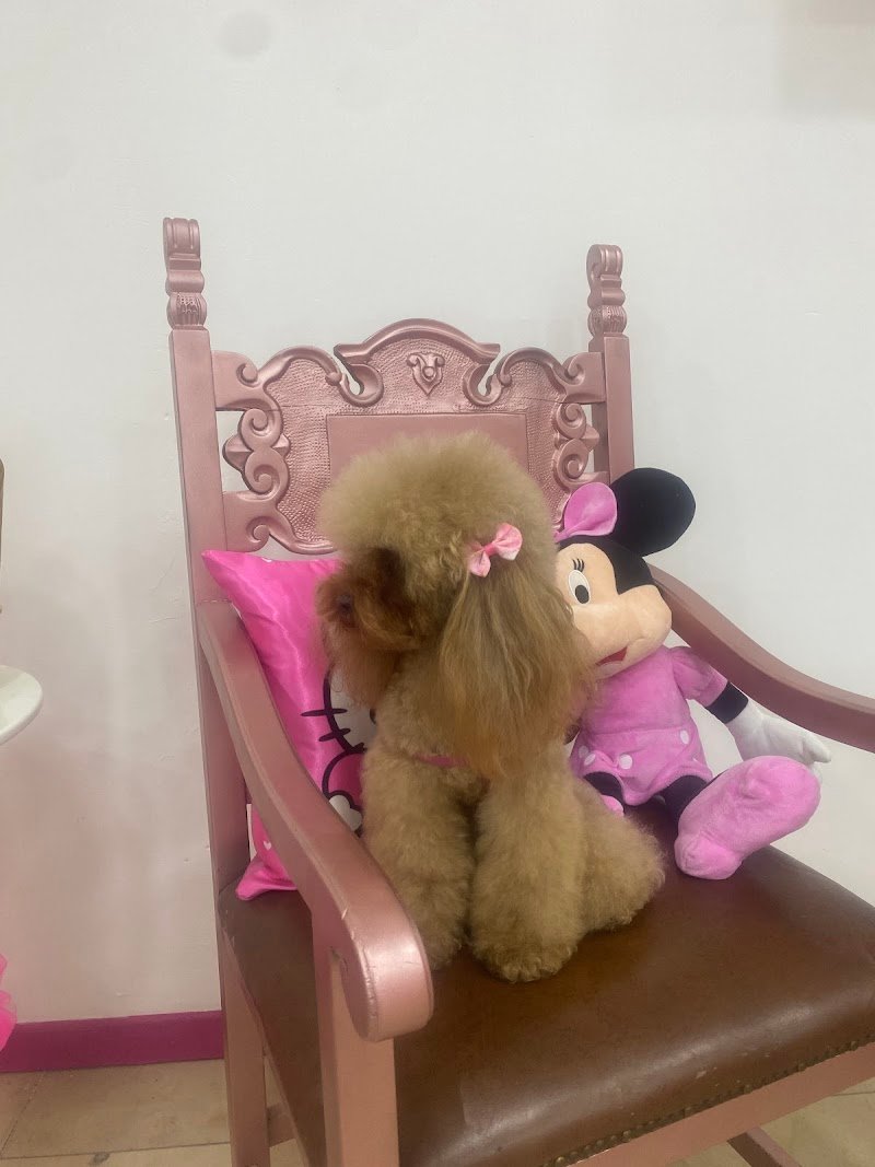 Aneesh Grooming Salon - Foto 2