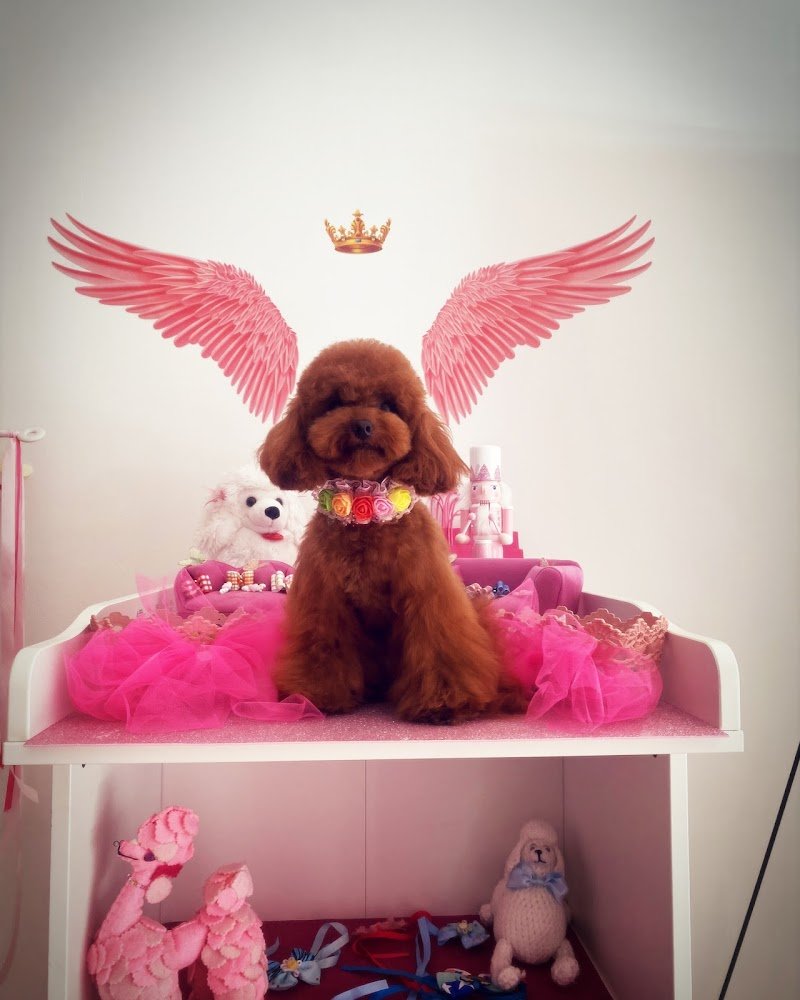 Aneesh Grooming Salon - Foto 3