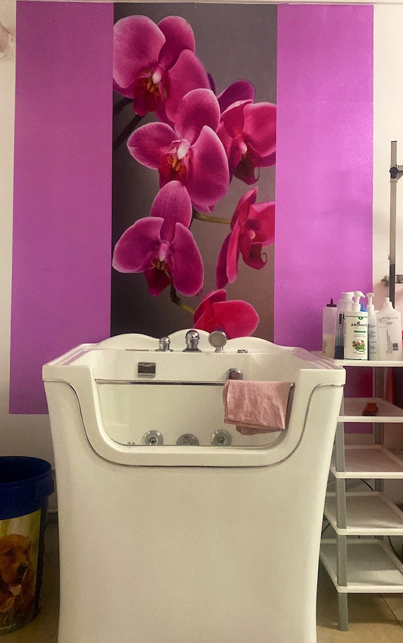 Aneesh Grooming Salon - Foto 4