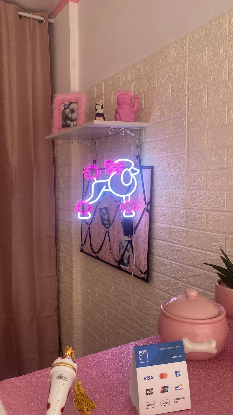 Aneesh Grooming Salon - Foto 6