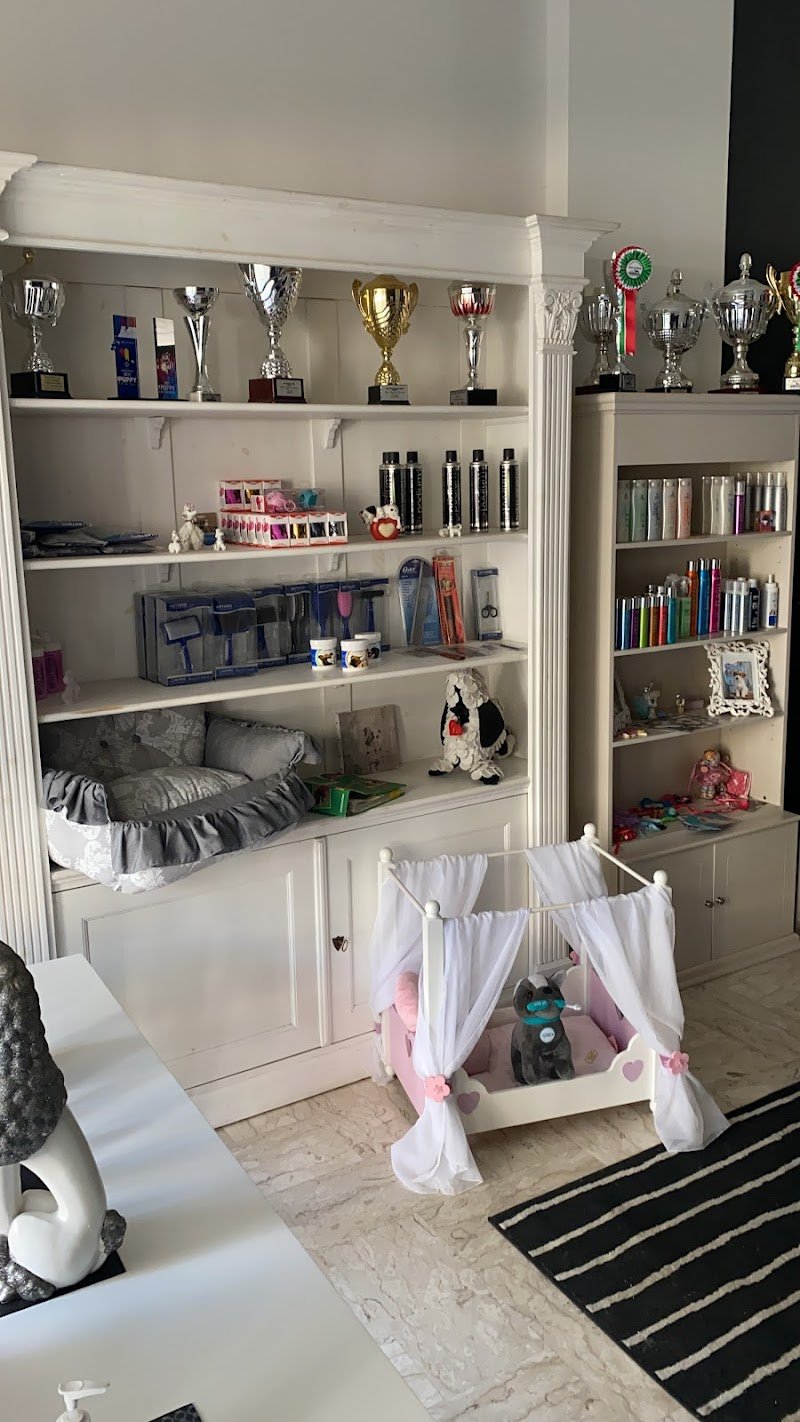 Aneesh Grooming Salon Matera - Foto 1