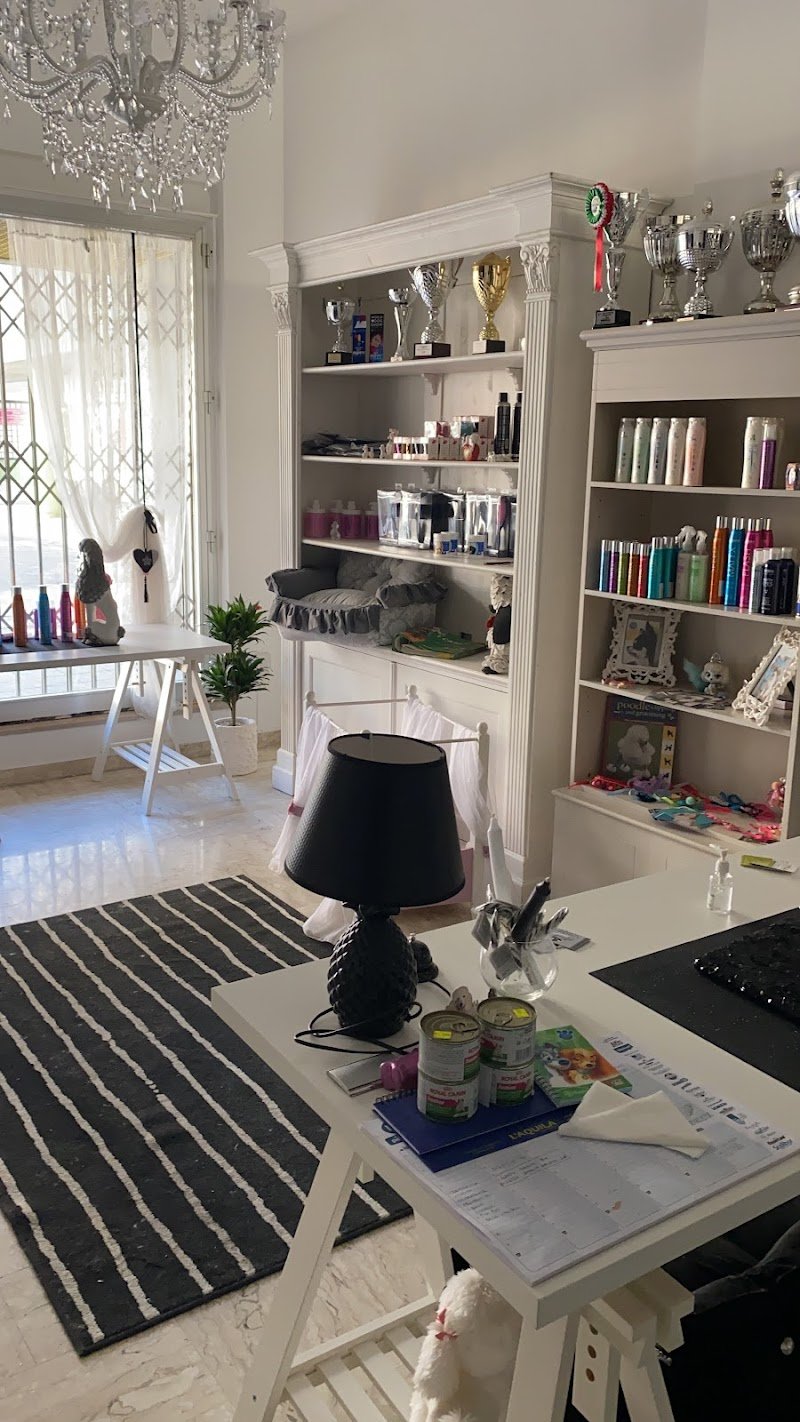 Aneesh Grooming Salon Matera - Foto 2