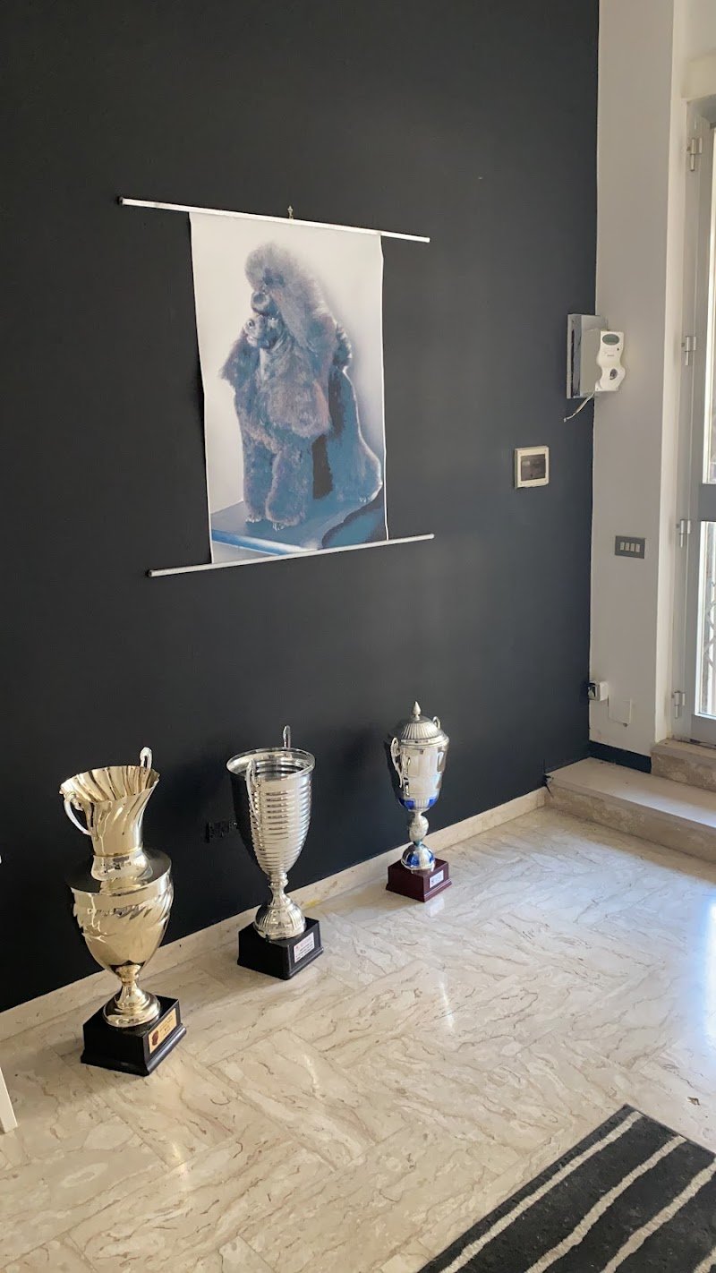 Aneesh Grooming Salon Matera - Foto 3