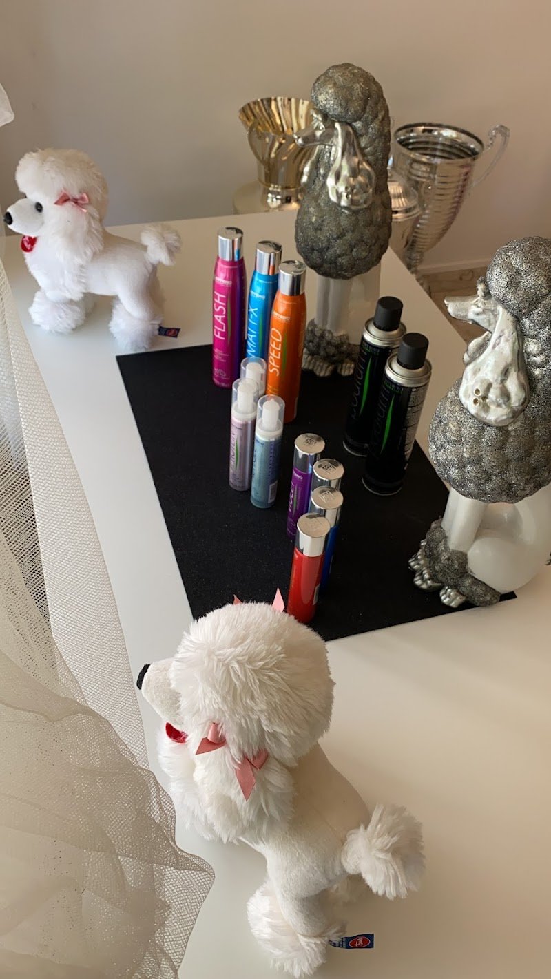 Aneesh Grooming Salon Matera - Foto 4