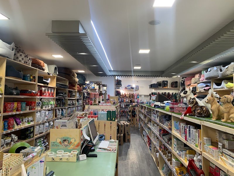 Angeli Con La Coda Modena - Foto 3