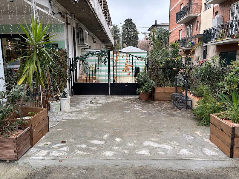 Angeli Con La Coda Modena - Foto 6