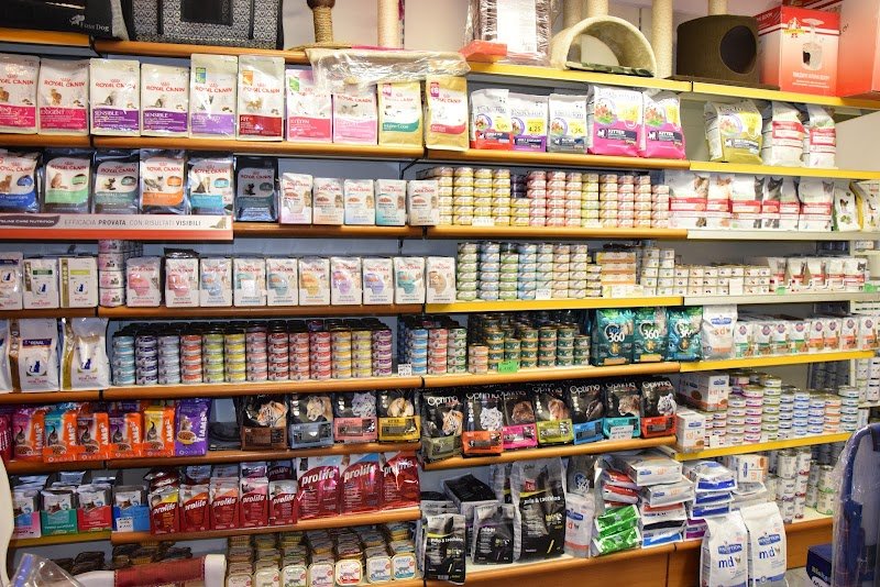 Anima Bestiale di Magnoni Meris - Foto 1