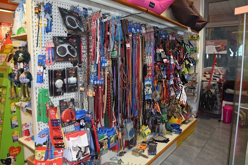 Anima Bestiale di Magnoni Meris - Foto 2