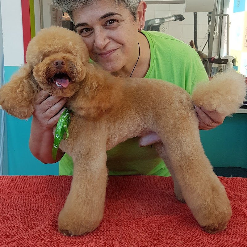 Anima Bestiale di Magnoni Meris - Foto 3