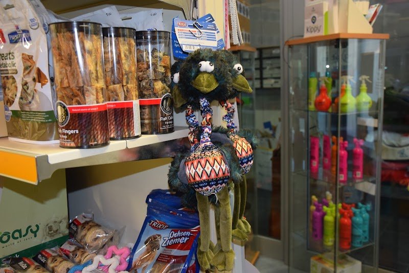 Anima Bestiale di Magnoni Meris - Foto 5