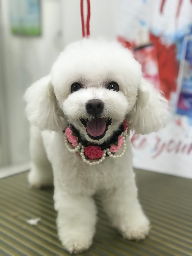 Anima & Code - Foto 3