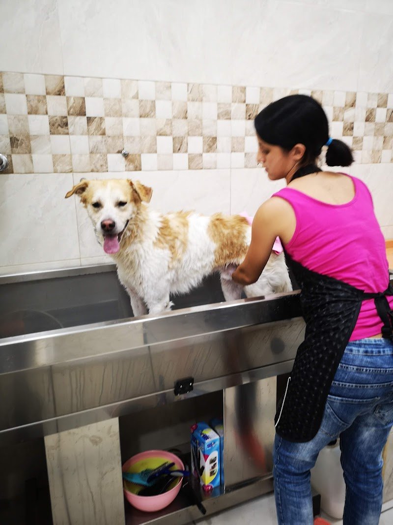 Anima & Code - Foto 5