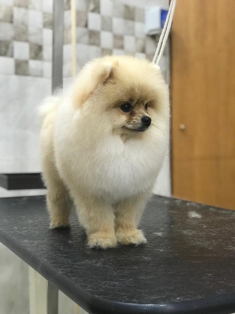 Anima & Code - Foto 6