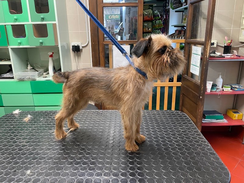 Anima Mundi - Foto 2