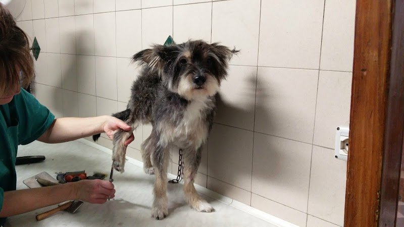 Anima Mundi - Foto 3