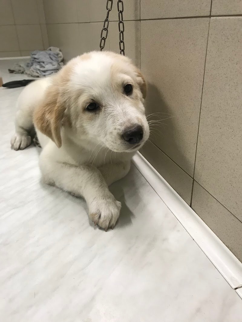 Anima Mundi - Foto 5