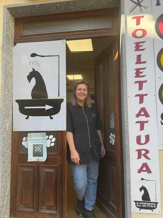 Animal Art di Voronova Natalia - Foto 4