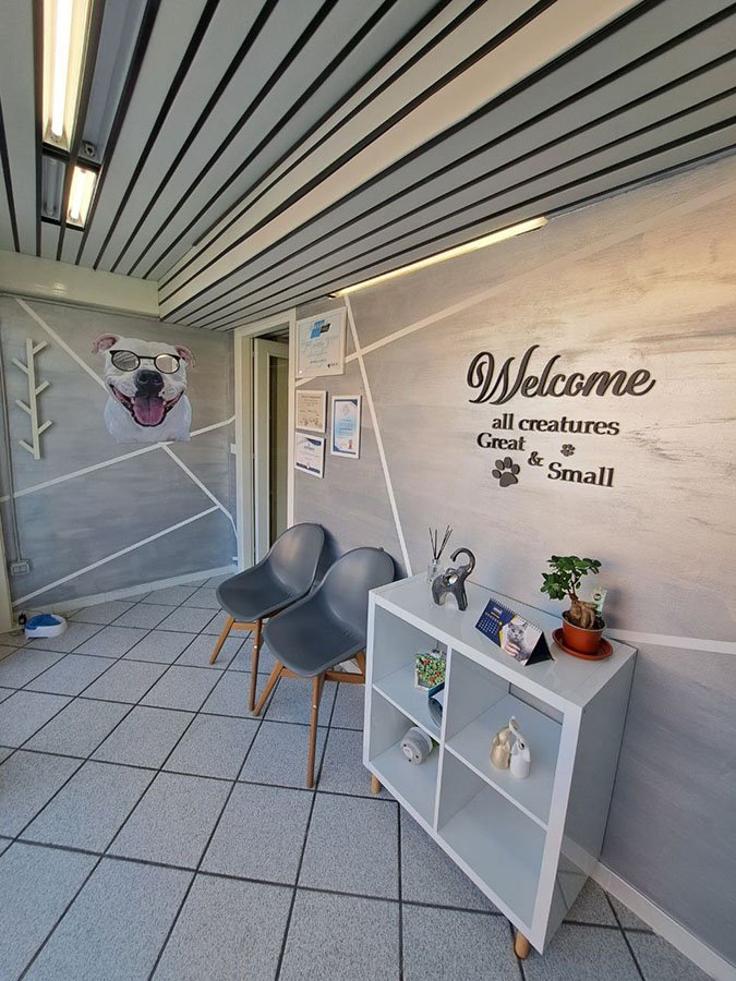 Animal Beauty di Errico Michele - Foto 2